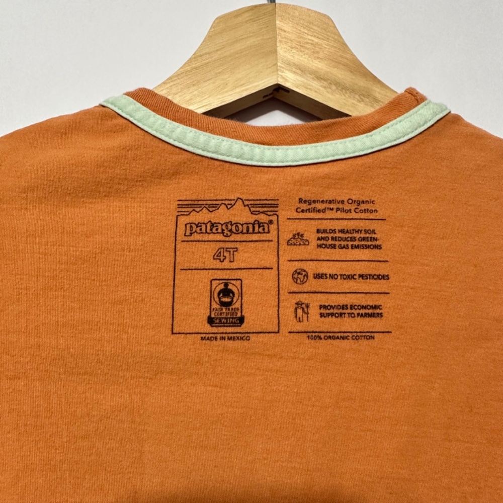 Unisex Patagonia Logo Fitz Roy Skies T-shirt - Picture 3 of 3